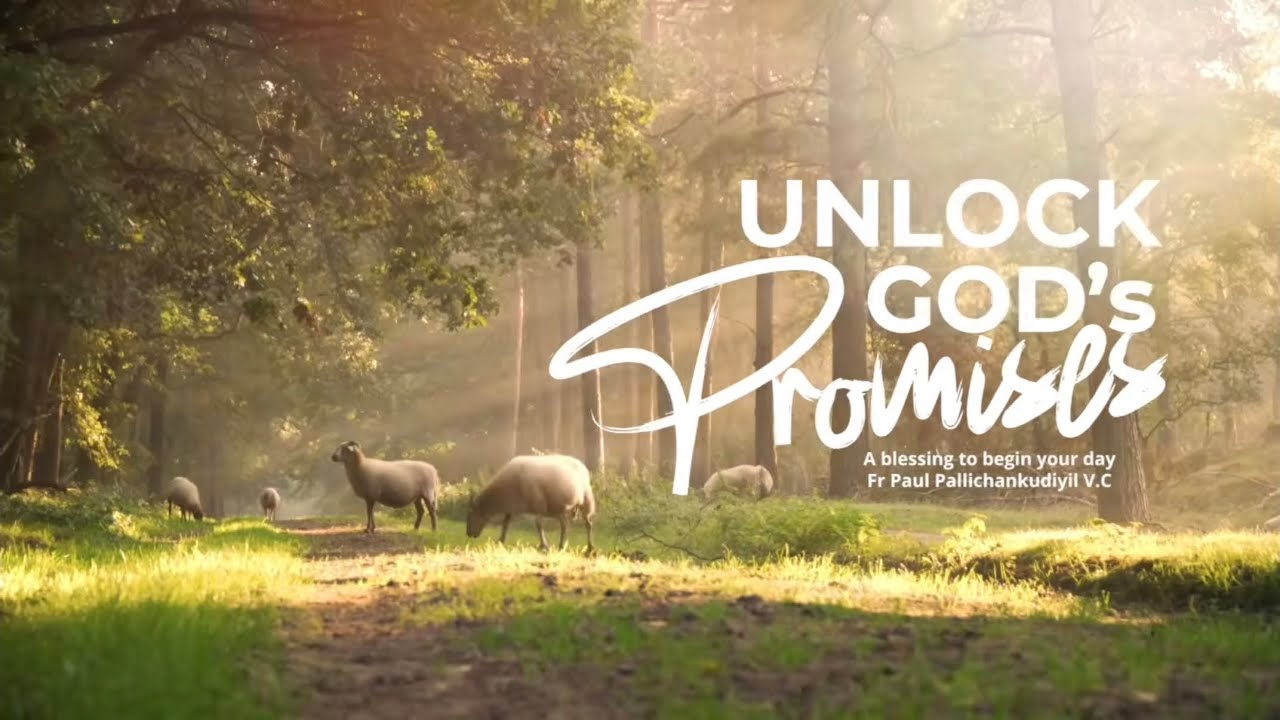 Unlock God's Promises: a blessing to begin your day (Day 826) - Fr Paul Pallichamkudiyil VC