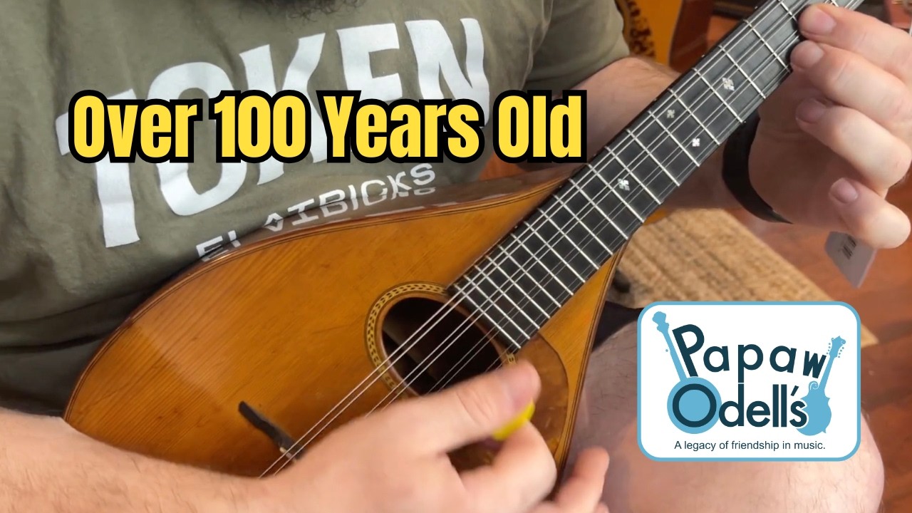 1921 Martin Mandolin Demo | Vintage Brazilian Rosewood