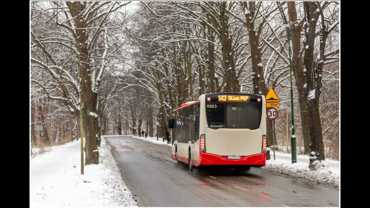 MB Citaro/Conecto #9001-#9007/#9901-#9908 PKS Gdańsk