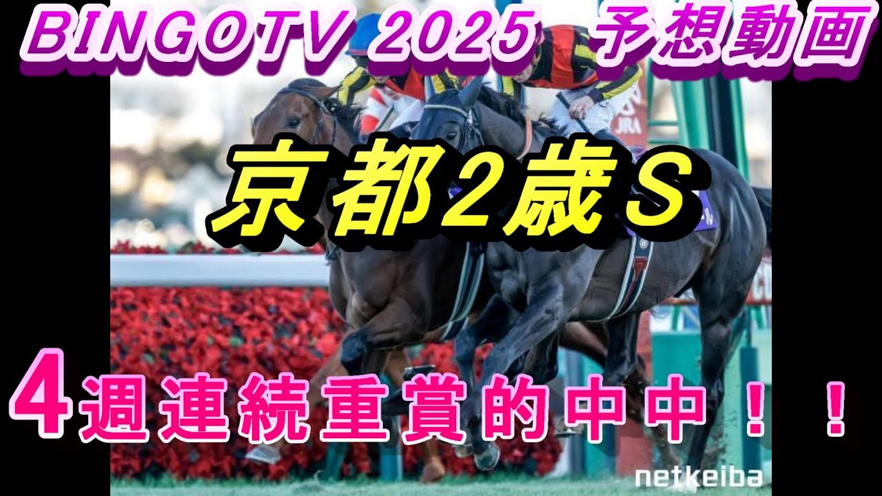 2025【京都2歳S】【競馬予想】マイルCS完璧的中！！4週連続重賞的中！！