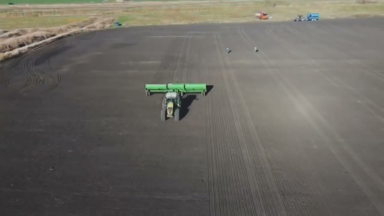 Сев озимой пшеницы, трактор Claas axion 850 и сеялка John Deere 455