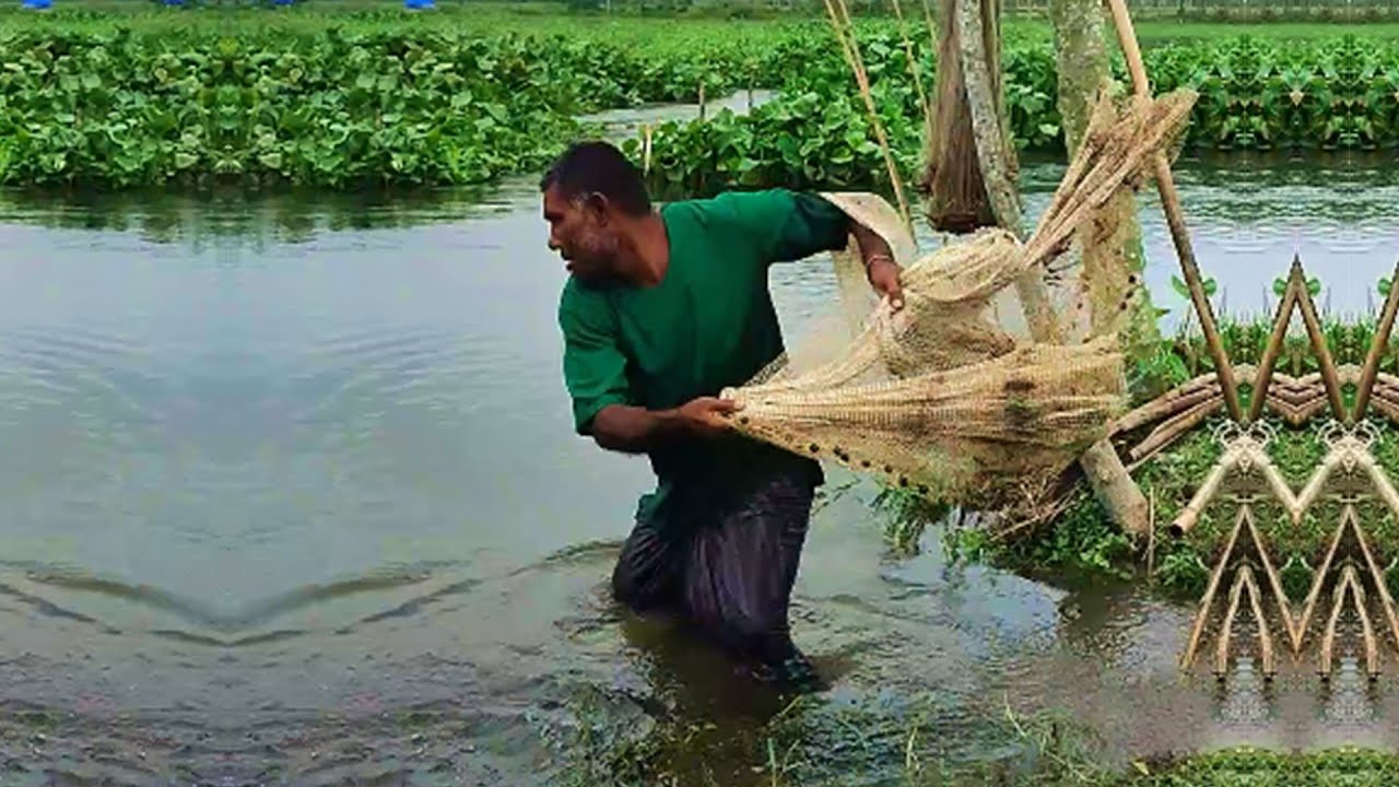 Amazing Fish Hunting by Poor Fisherman - Best Cast Net Fishing - Traditional Village Fishing