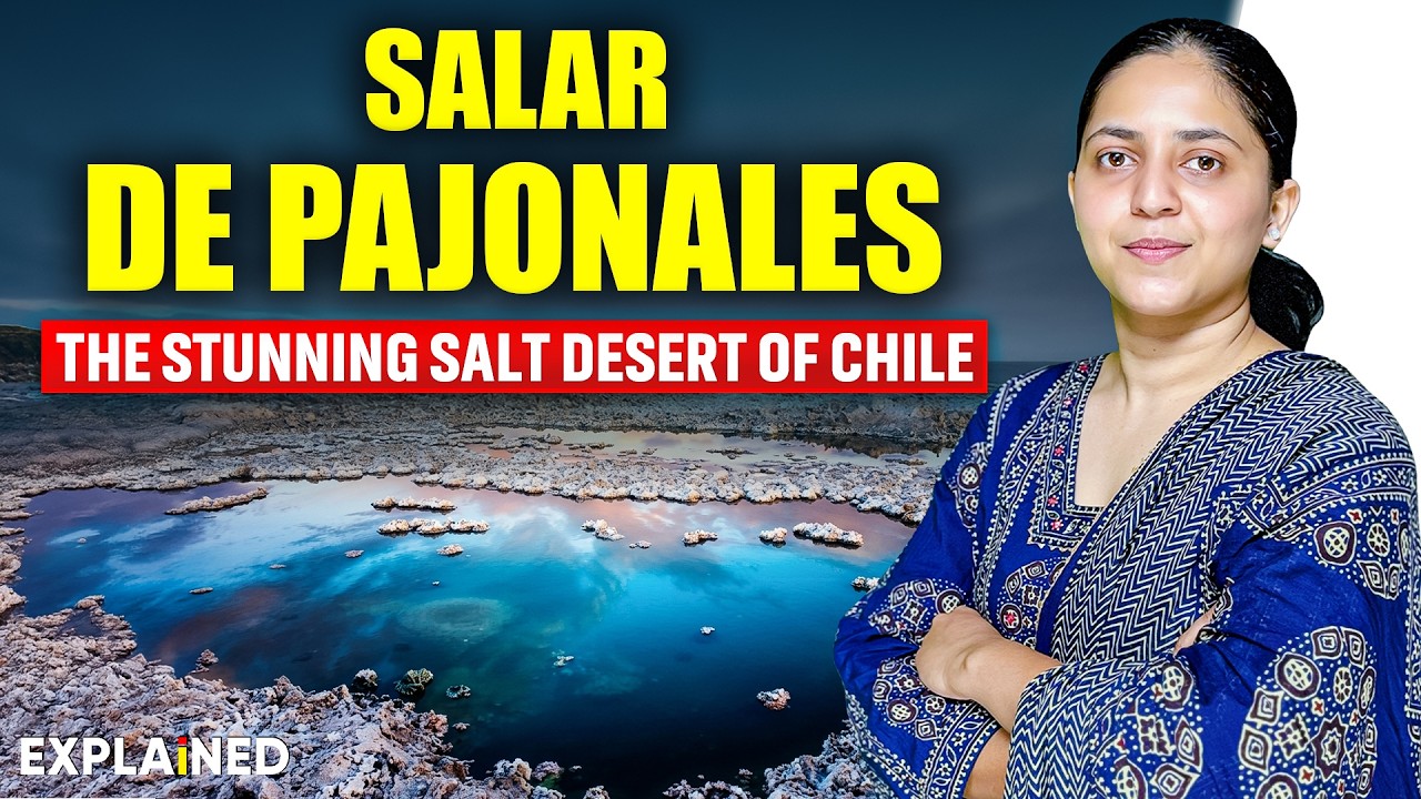 Salar De Pajonales Explained | Chile’s Hidden Salt Flat in the Atacama Desert