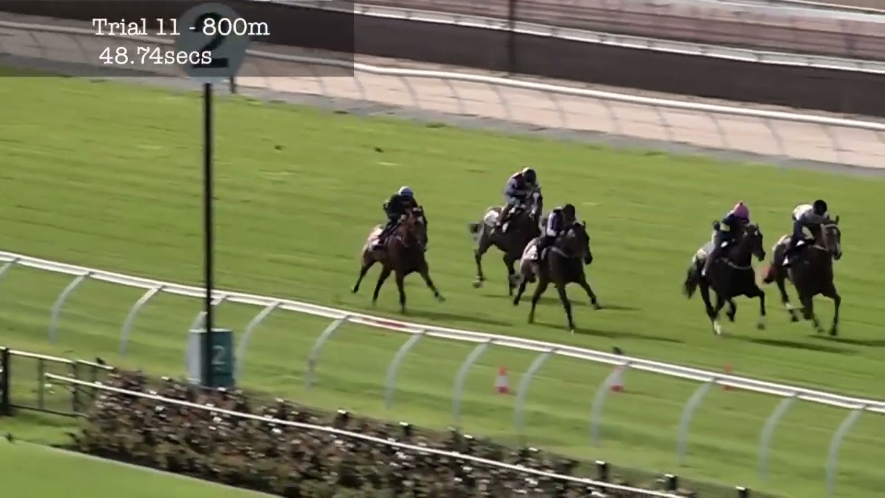 Flemington Jumpouts | 26 September 2014 | Heat 11