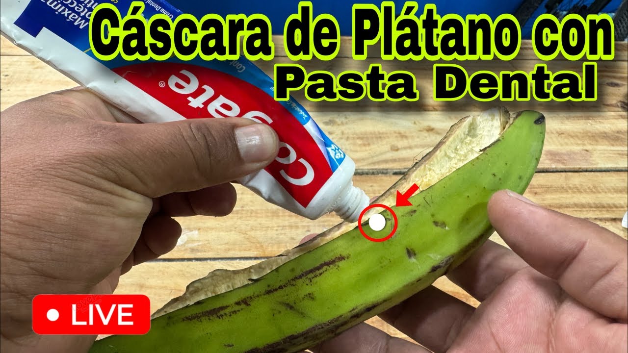 Pasta Dental en una C&aacute;scara de Pl&aacute;tano 🍌 &iquest;Para qu&eacute; Sirve? | Te Sorprender&aacute;s 🫵🏽
