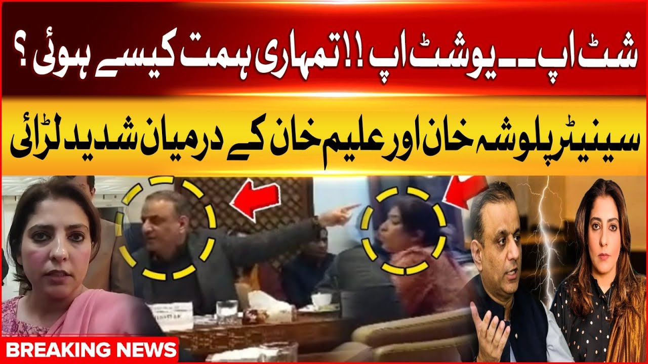 Heated Clash Between Senator Palwasha Khan and Aleem Khan | PPP Leader Vs Aleem Khan | Breaking News