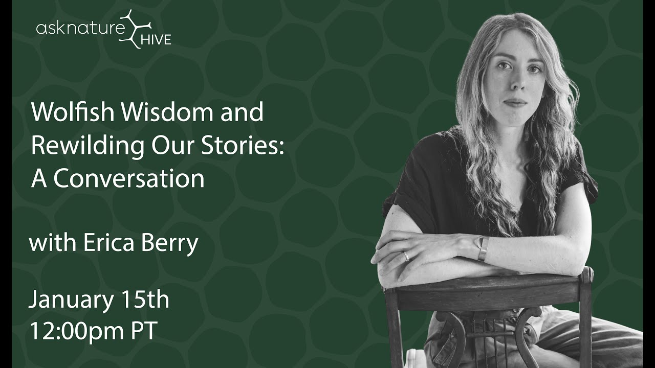 AskNature Hive Live Convo Replay with Erica Berry
