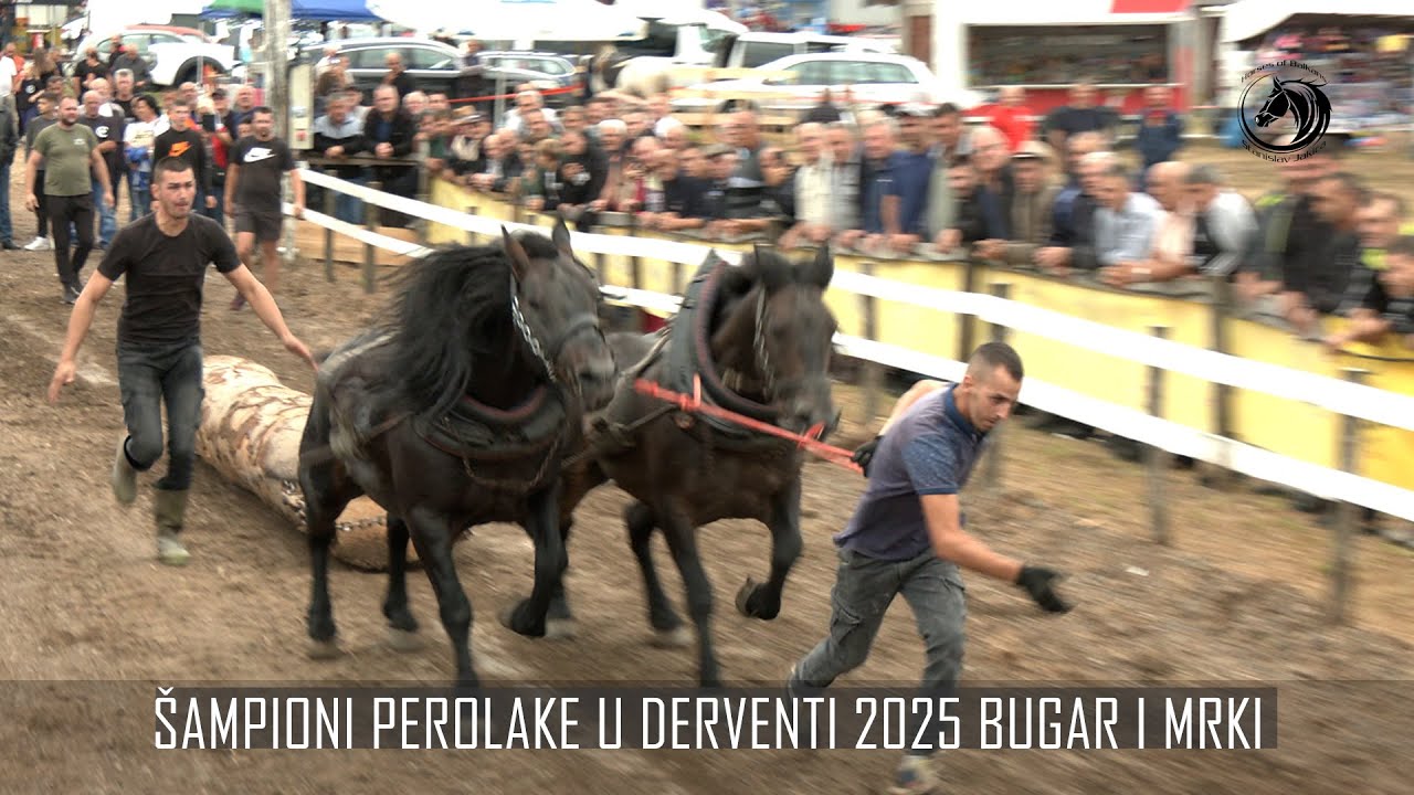 - STOJČIĆI ŠAMPIONI PEROLAKE U DERVENTI -