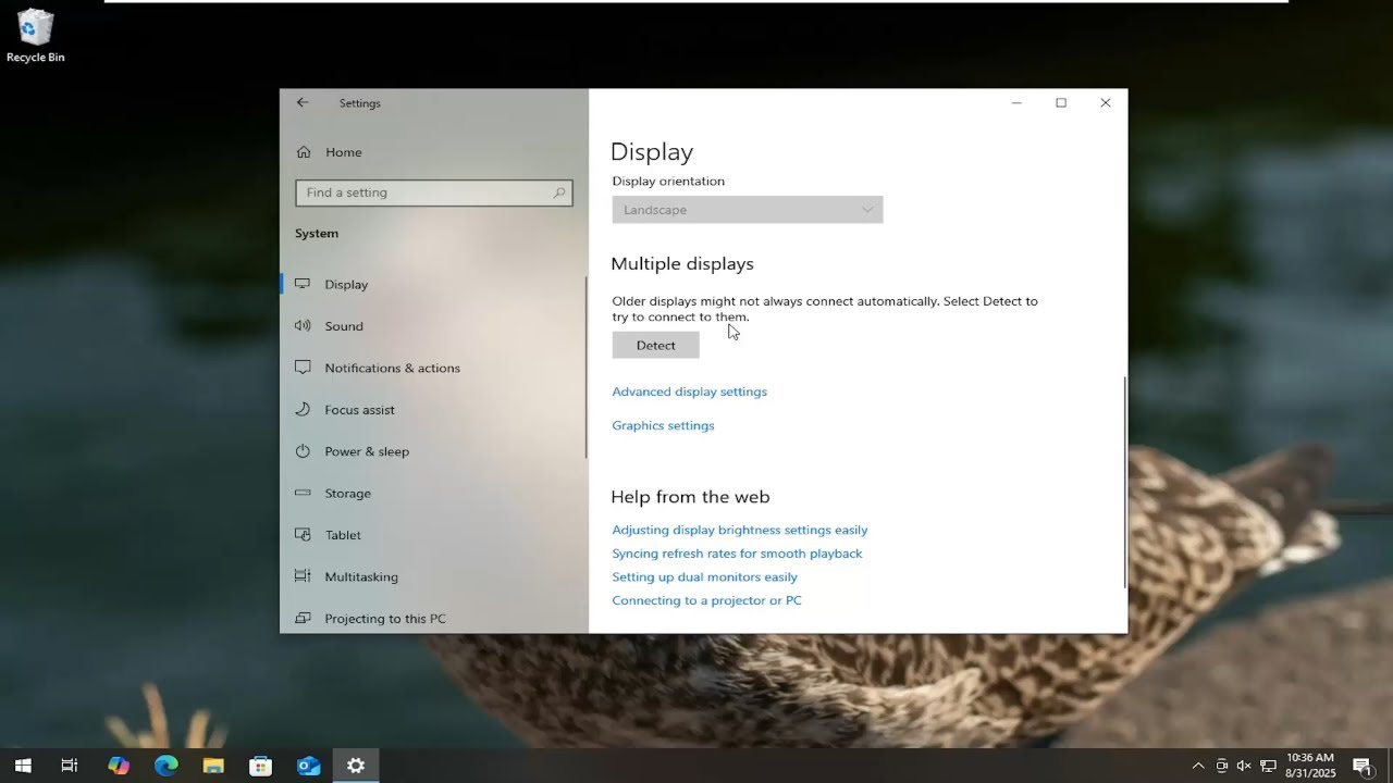 How To Detect Multiple/Second Displays on Windows 10 [Guide]