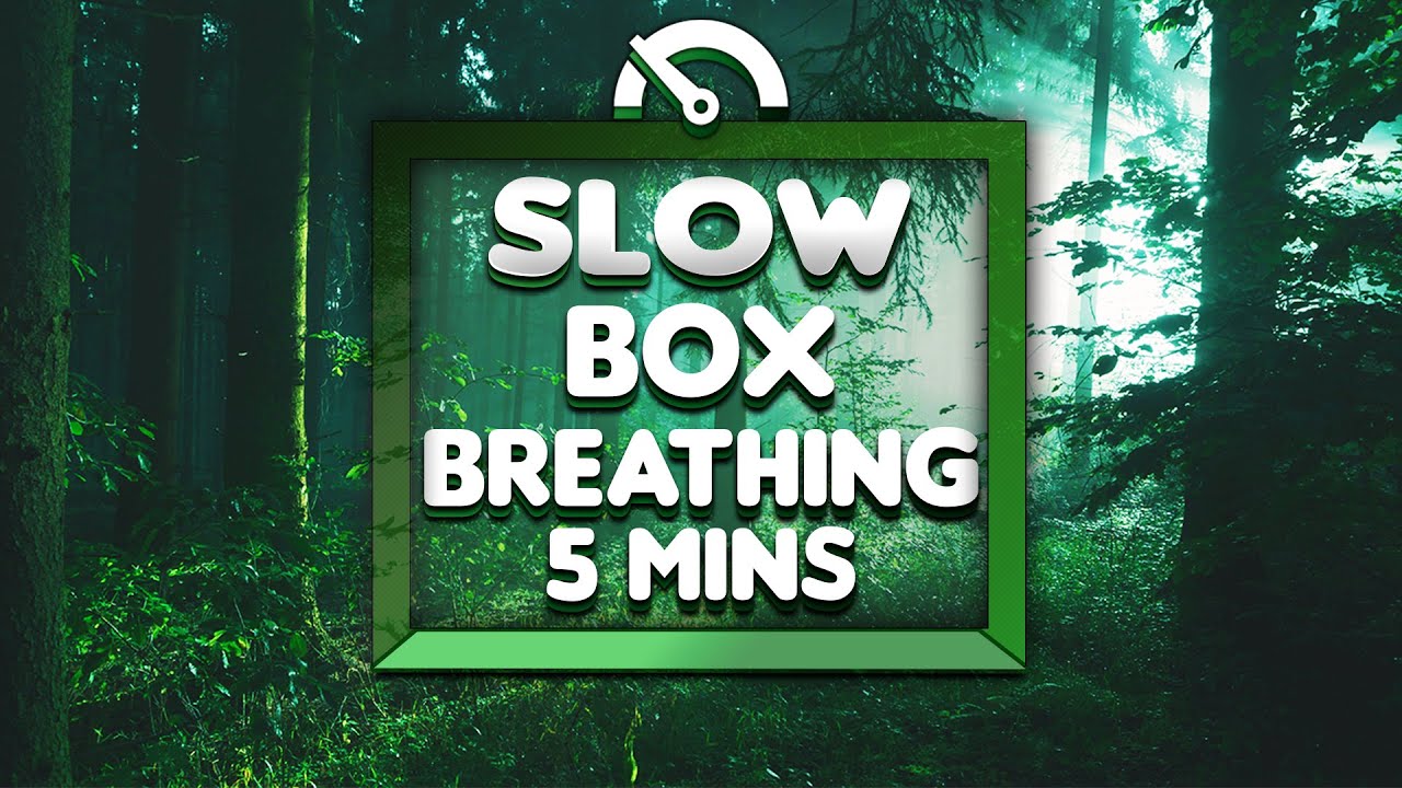 Guided Box Breathing (Slow Counts) | 5 Minutes