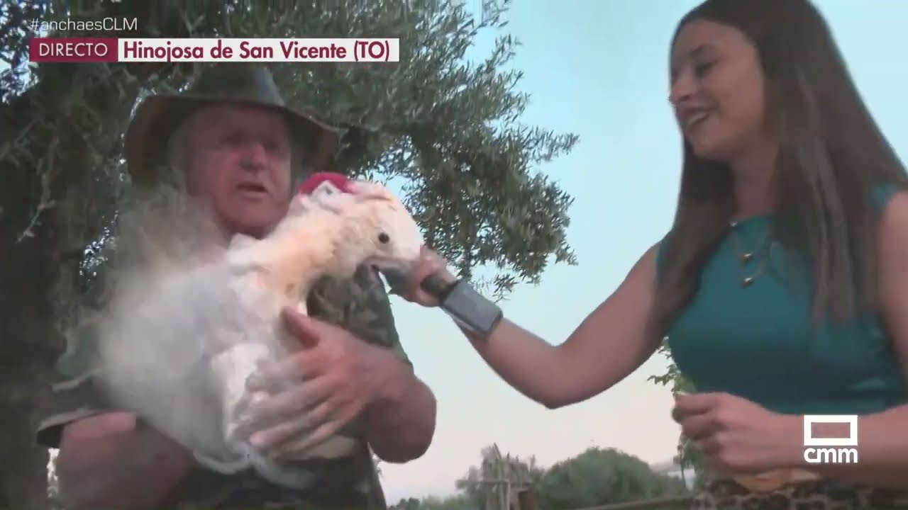 Conocemos a los 'Bebés' del Zoo Safari de Hinojosa de San Vicente | Ancha es Castilla-La Mancha