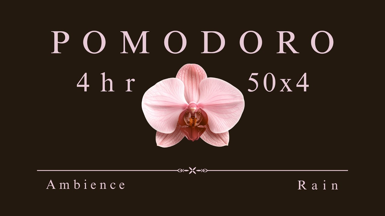Orchid ❉ POMODORO ❉ 4 HR Study Timer | 50/10 | Ambience + Rain ❃