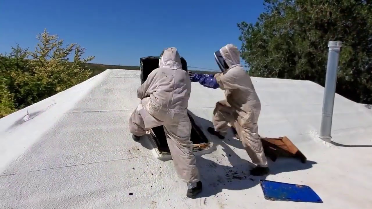 Haunted Attic Full of Killer Bees! Hell-O-Ween Will Never BEE The Same!!