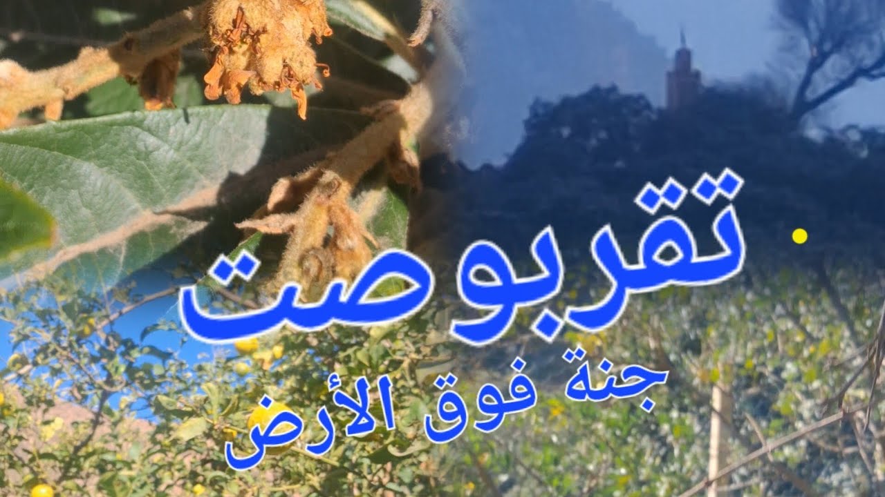 جولة خفيفة بجنبات دوار تقربوصت 
