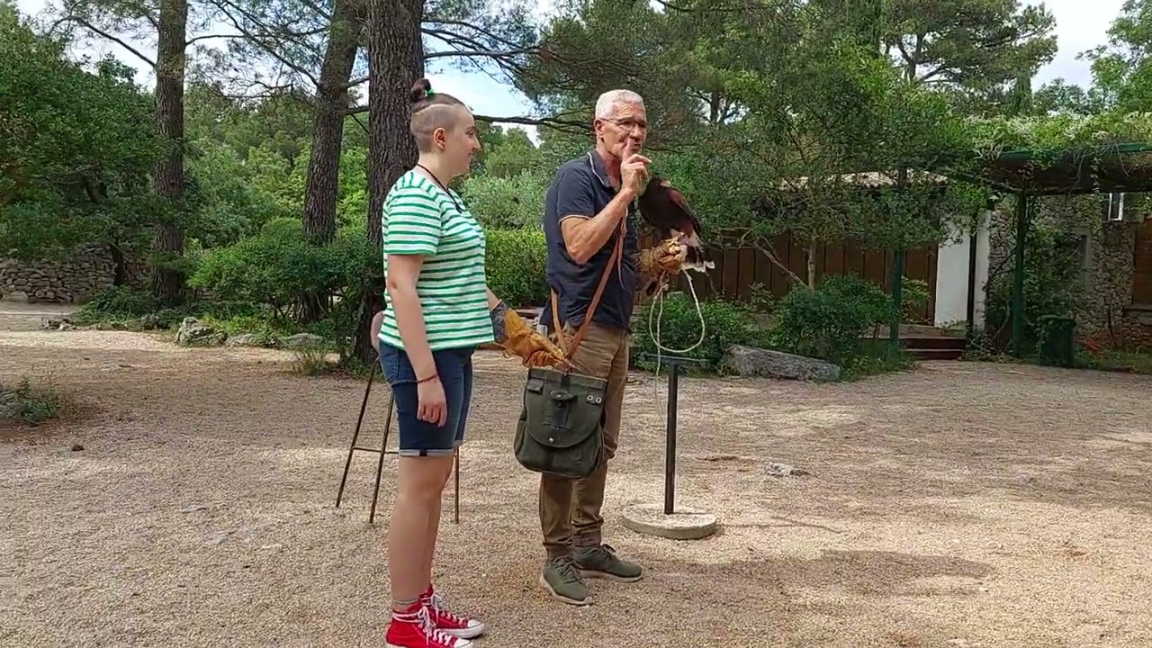 Sokolarski centar