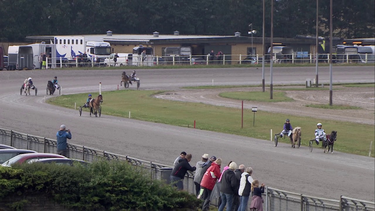 PONYLØB BILLUND 15. AUGUST 2019