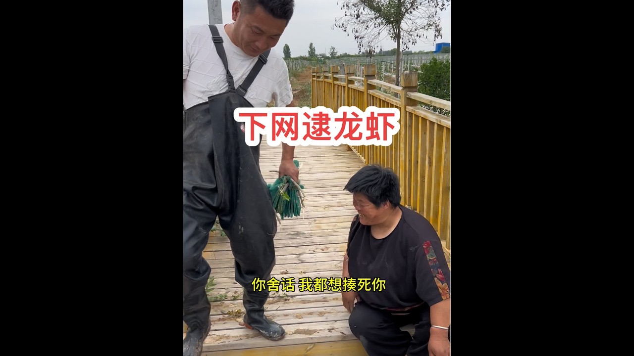 今天，嫂子和老表一起下网逮龙虾……#创作灵感 #我的乡村生活 #2024新农人计划 @海娇（金砖哥嫂子小号）