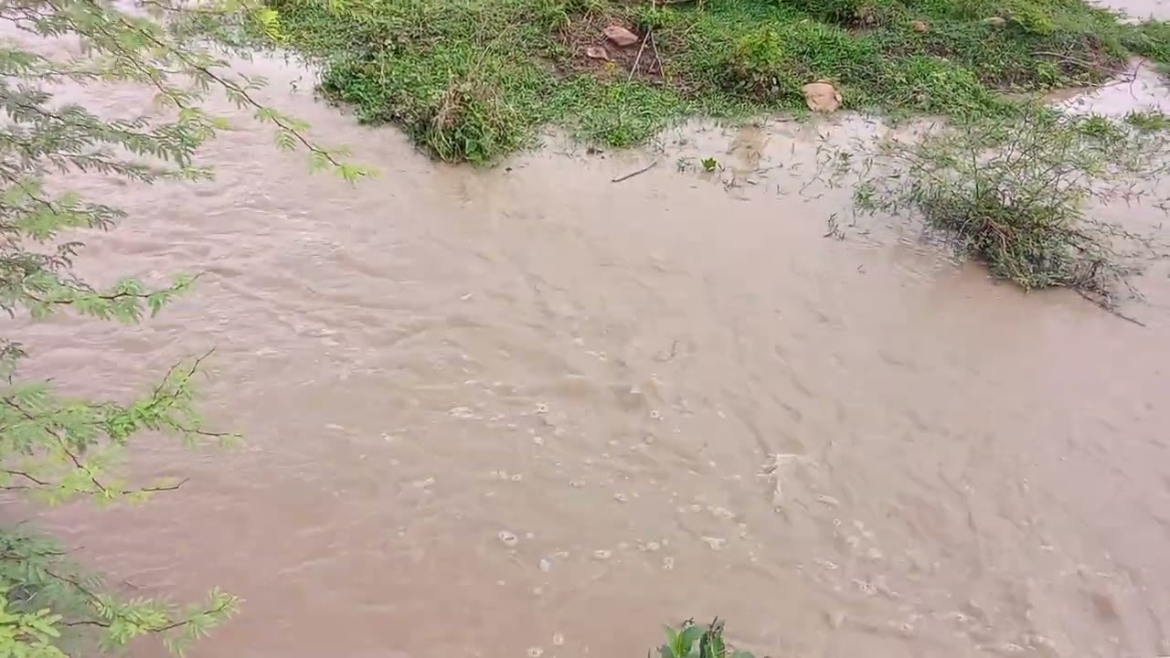 Rio jardim com muita água 