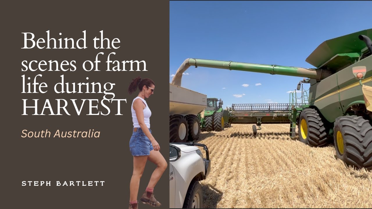 Behind the Scenes of Farm Life During Harvest in South Australia