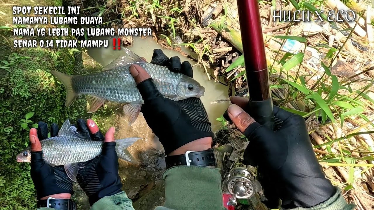 PIYE IKI MAS ‼️ SENAR 0,14 TIDAK MAMPU ‼️ SAYA COBA 0,18 IKAN TIDAK MAKAN // MANCING NILEM #MANCING