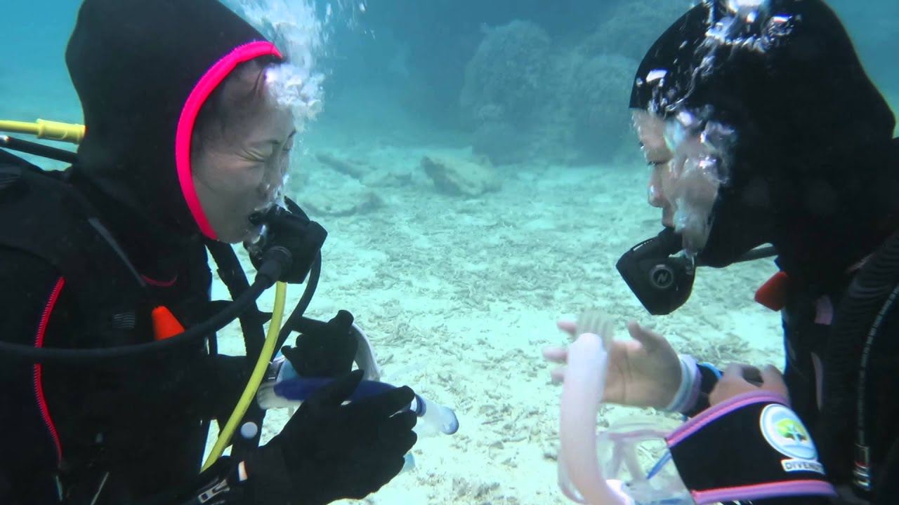 水中あっちむいてホイ！　　ダイブナッツ