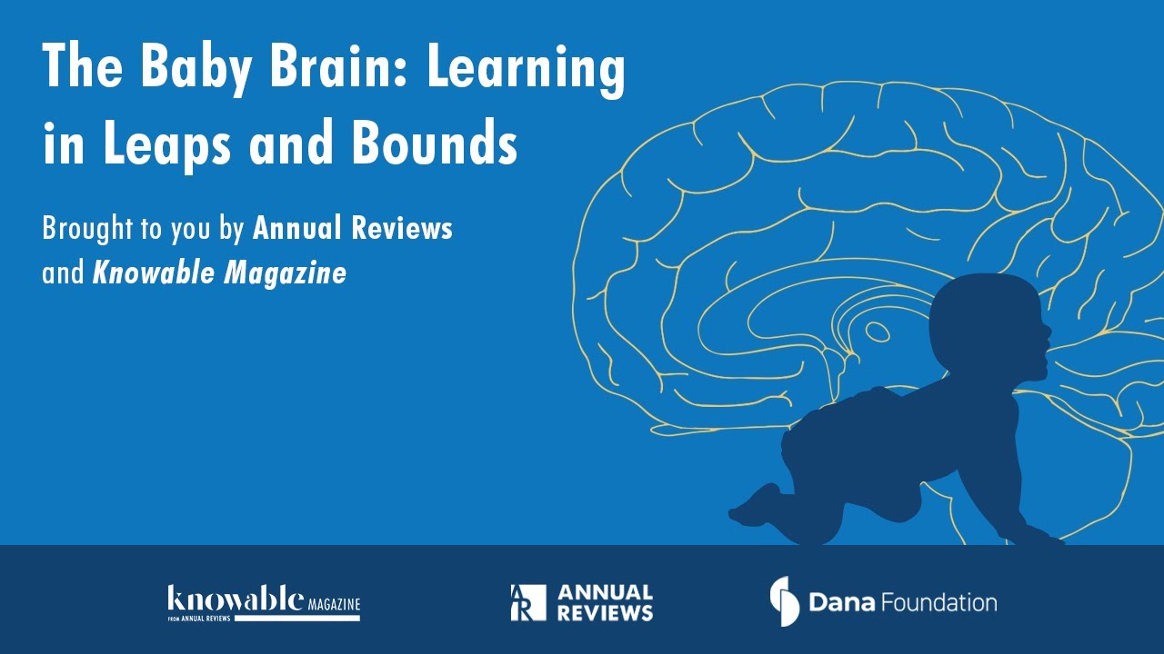 The baby brain: Learning in leaps and bounds