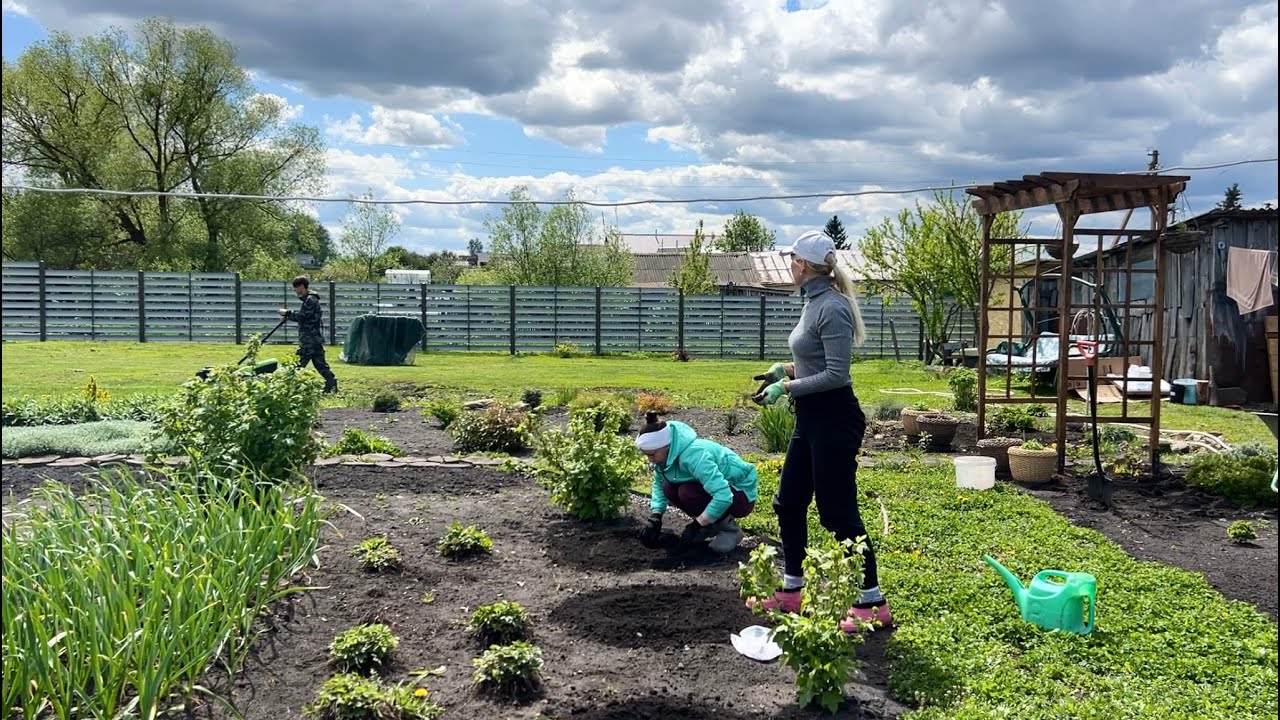 ОГОРОДНЫЕ РАБОТЫ/САНЭПИДРЕЖИМ В КУРЯТНИКЕ /ПЛАНИРОВКА ПТИЧНИКА/БУДКА ДЛЯ БУРАНА