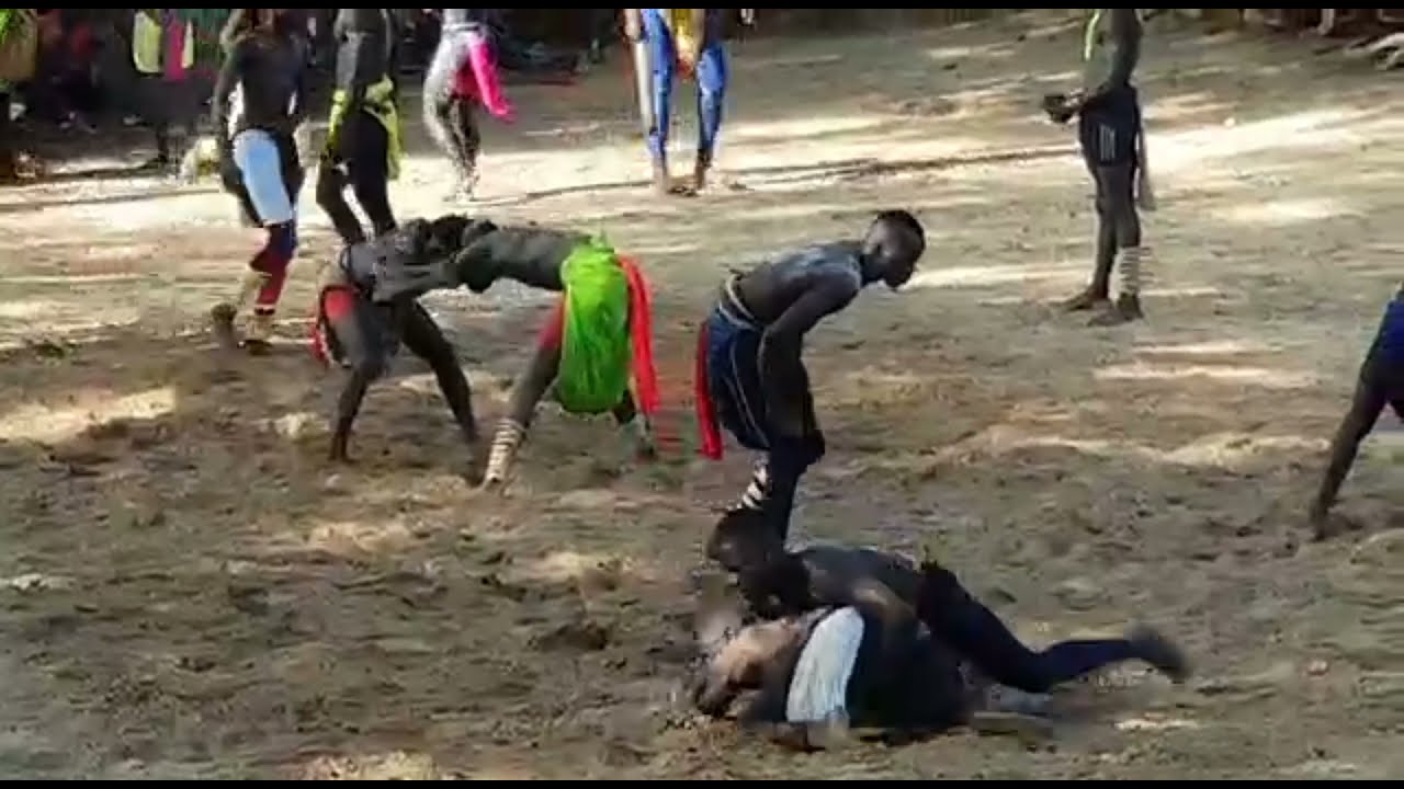 Cérémonie de lutte Diembéring/Mlomp : découvrez les magnifiques images et vidéos