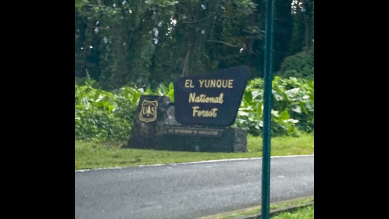 El Yunque National Forest