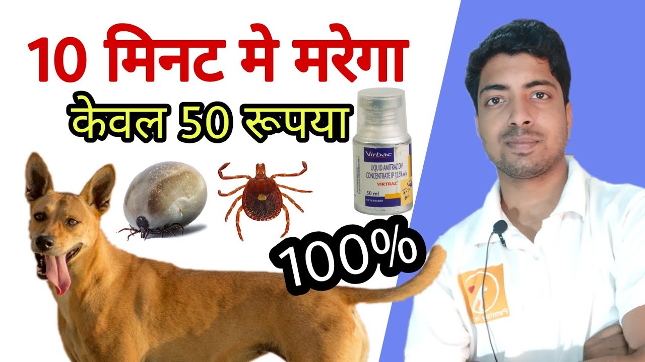 New technology || 100% tick solution in cheap. No shampoo, No power or spot on. 🔥🔥