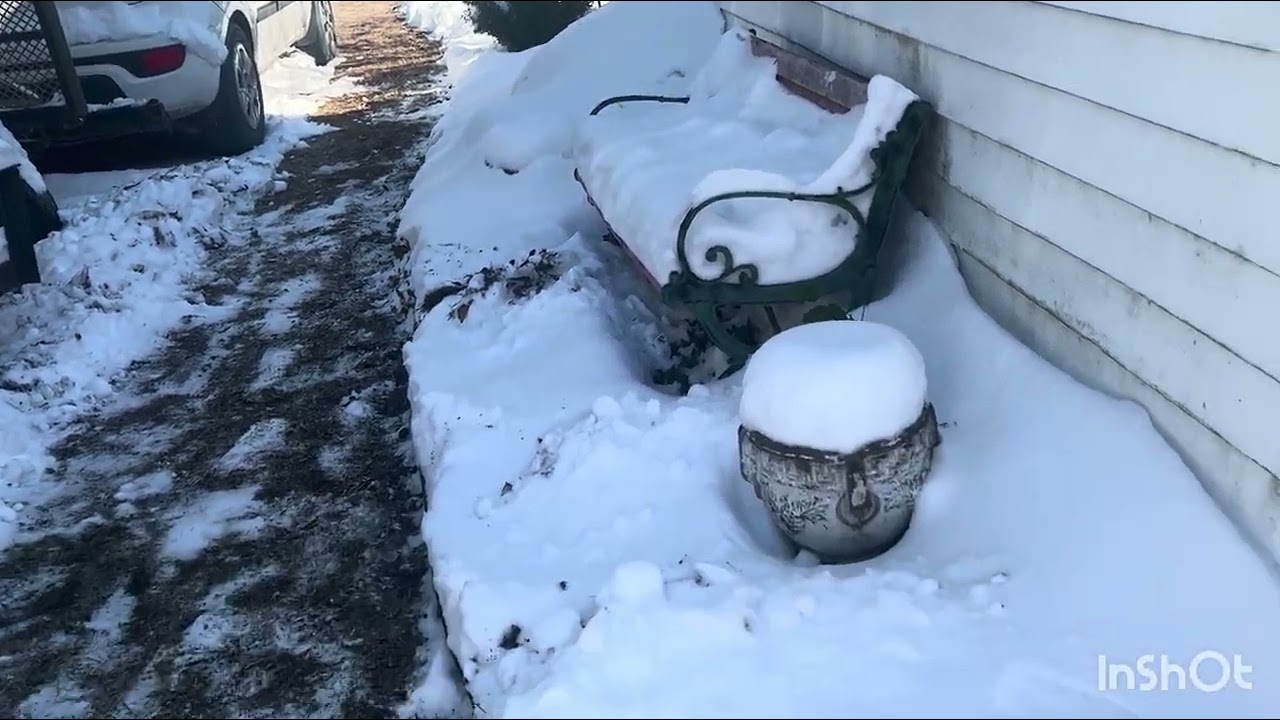 Clearing the paths to feed the chickens