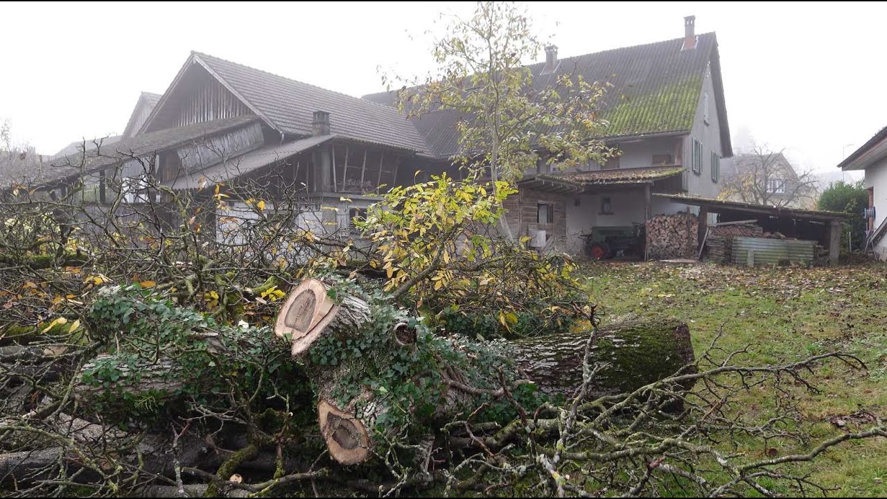 Requiem für Pöiks Nussbaum