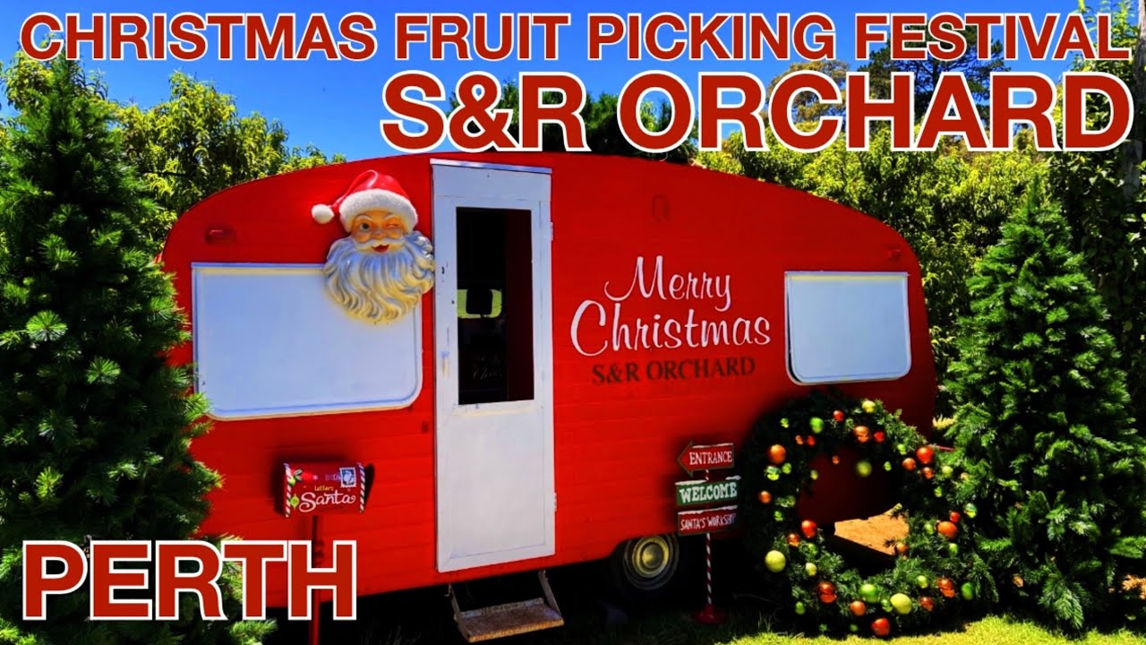 Christmas Orchard S&R - Christmas Fruit Picking Festival