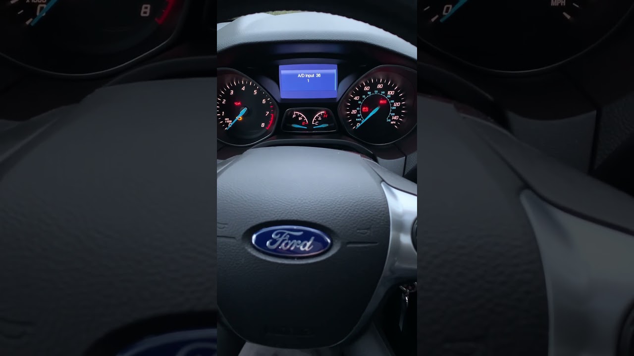 Ford Focus Gauge Sweep