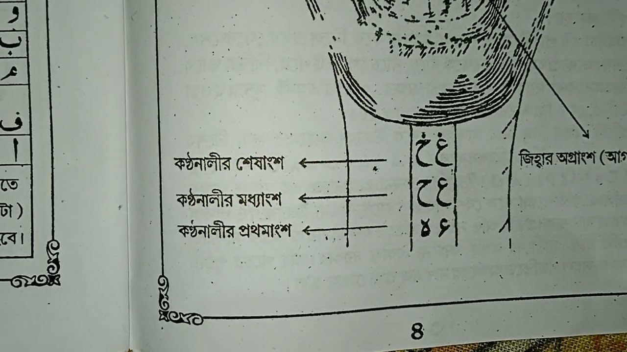 আজ আমরা মাখরাজ শিখব ।Quran. Part -1#islamic_official_studio #viralvideos #unfrezzmyaccount #viral 
