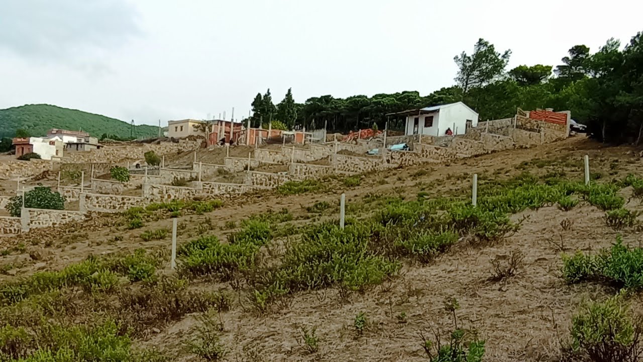 أرض رائعة جدا ومفججة 🌳 منطقة الزميج ملوسة طنجة 0703640826🌺🌺😍