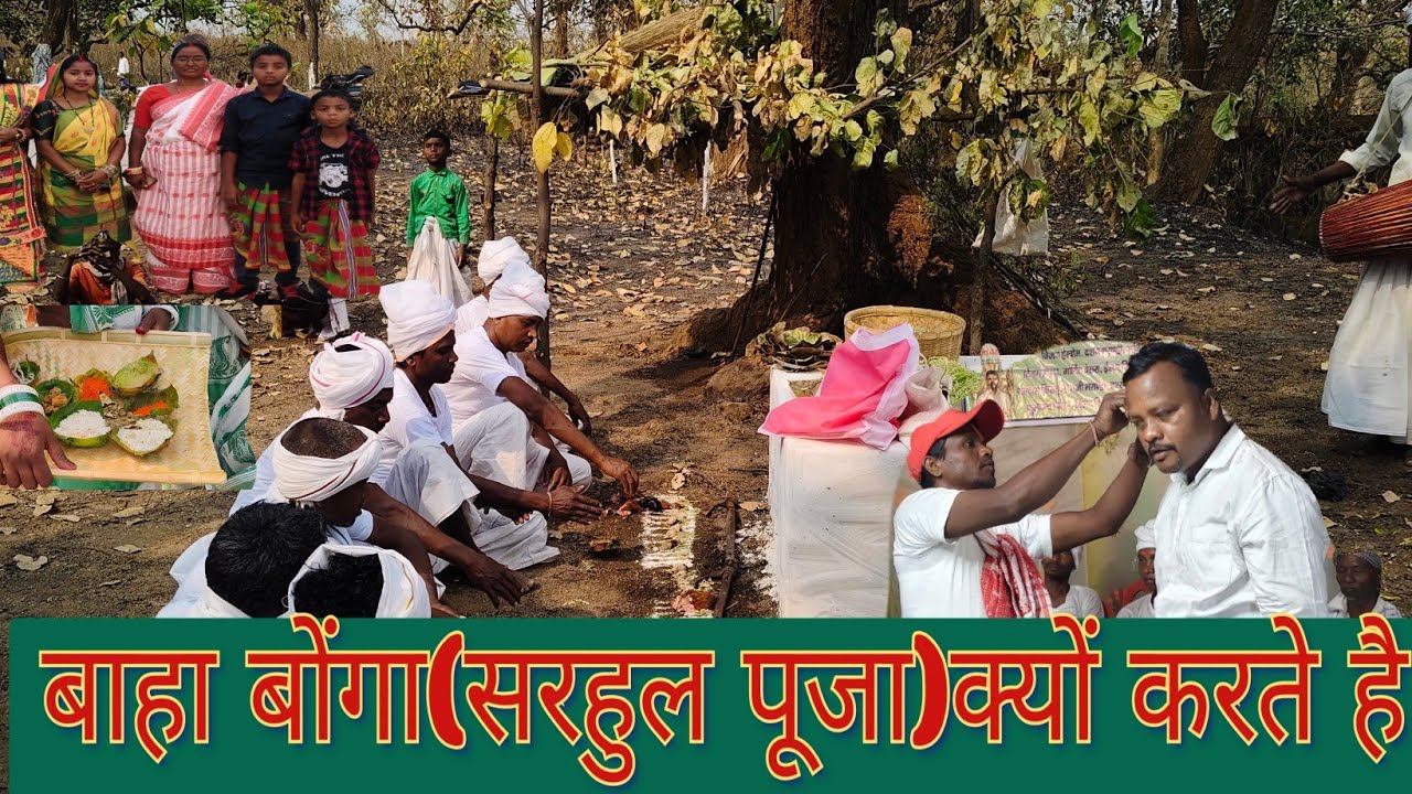 आदिवासी सरहुल ( बाहा बोंगा ) क्यों मनाते है कुछ संक्षेप में इसकी विशेषताएं 