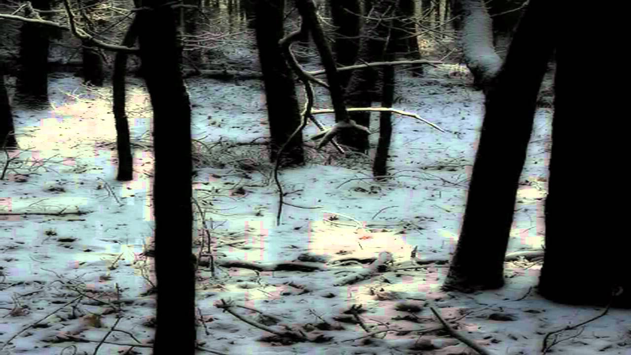 Dr&aring;psnatt  -  Gasten