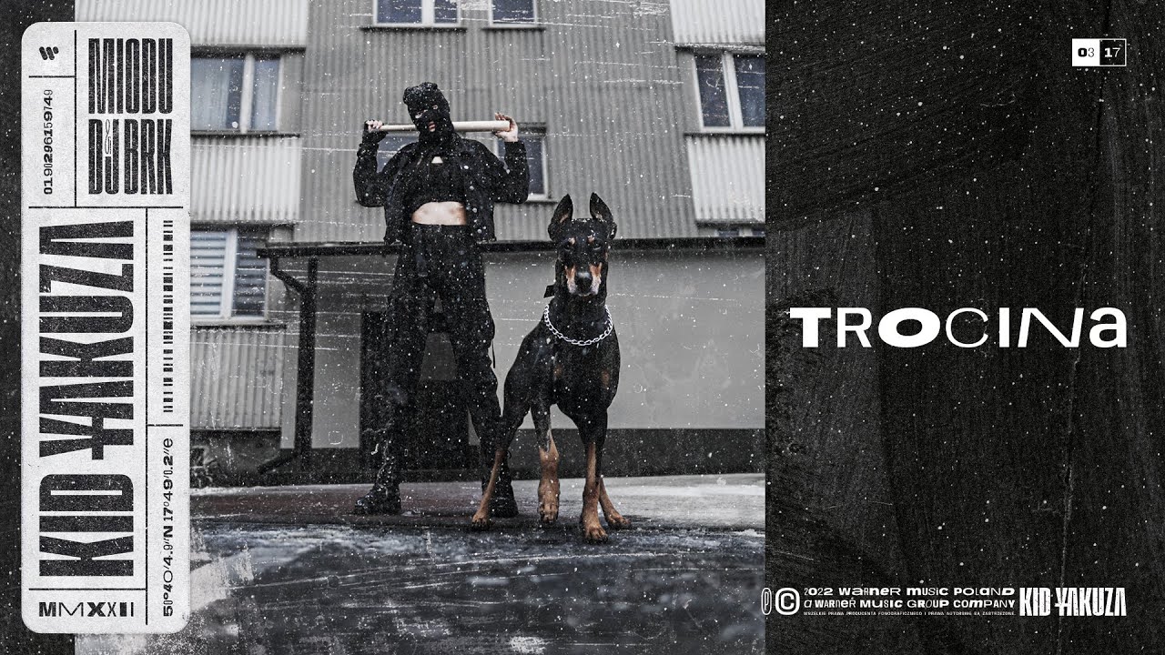 DJ BRK & Miodu - Trocina [Official Audio]