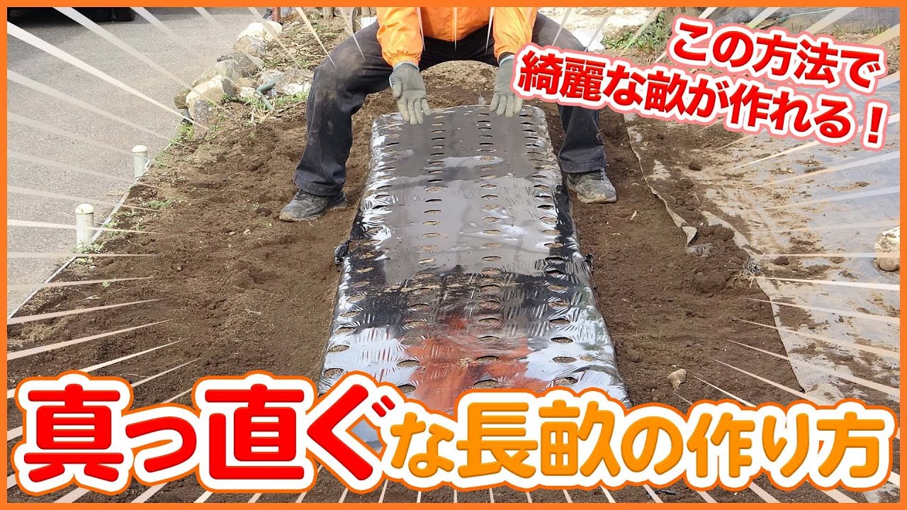 家庭菜園や農園で春までにマスターしたい！栽培の基本、畝立てやマルチの貼り方の極意を徹底解説！長畝をまっすぐ作る技を公開【農園ライフ】