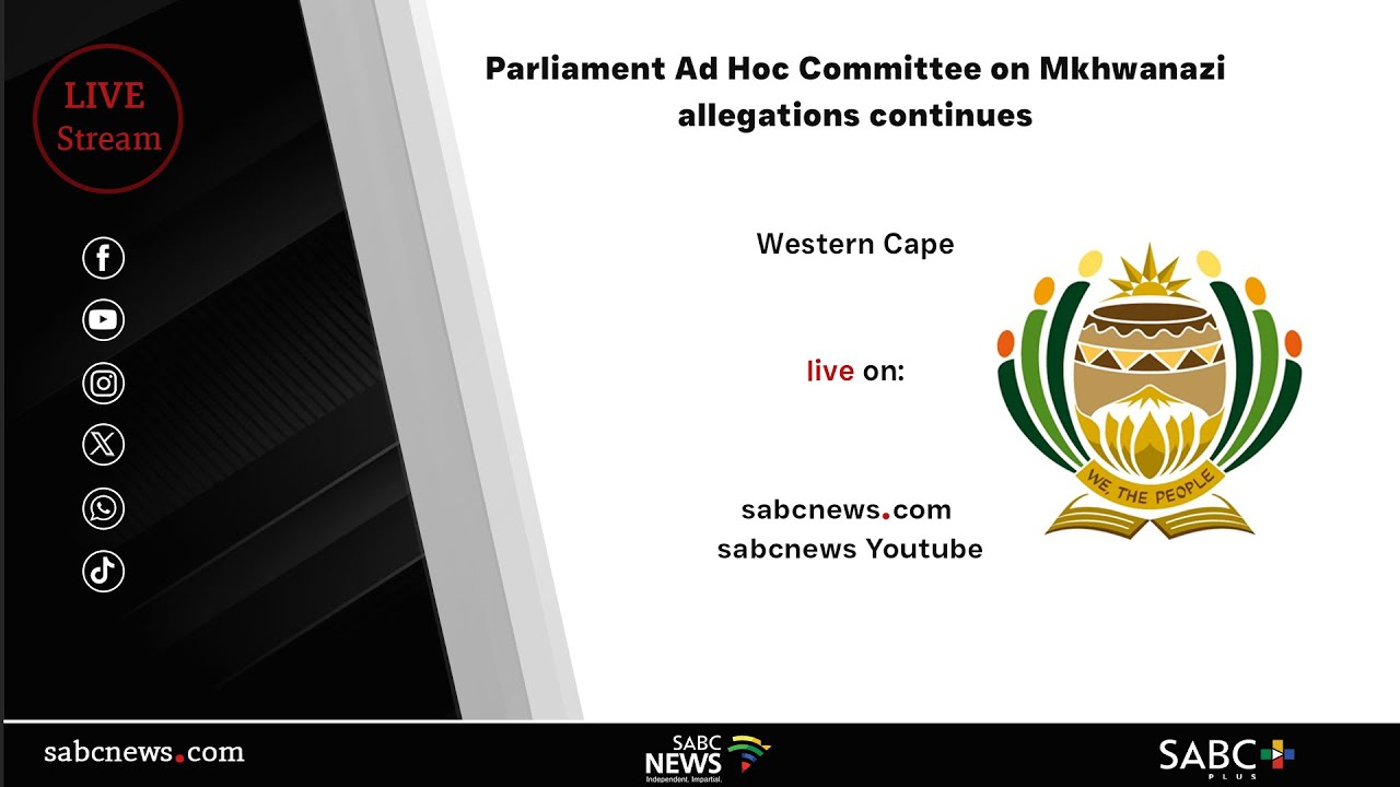 Parliament Ad Hoc Committee on Mkhwanazi allegations hears testimonies from witnesses