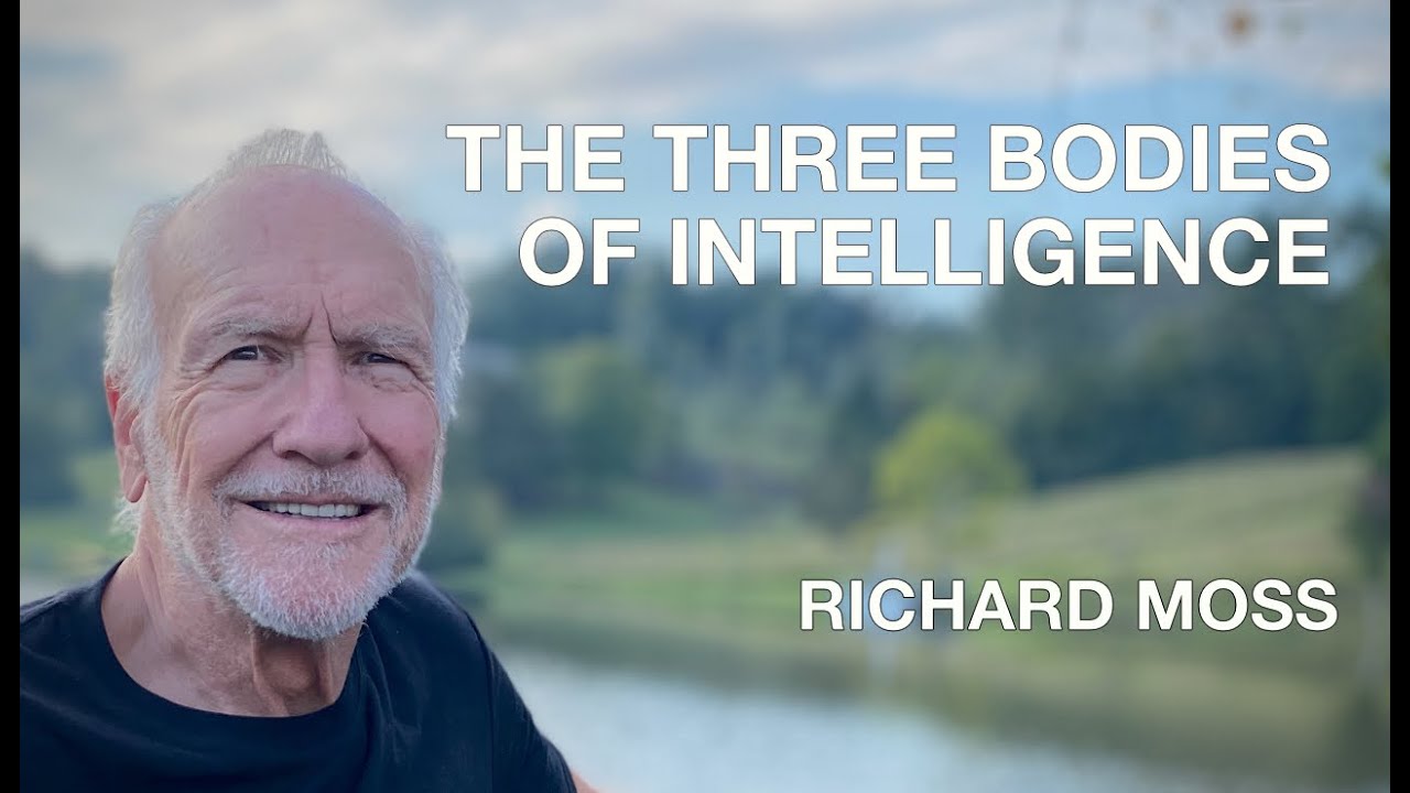 The Three Bodies of Intelligence