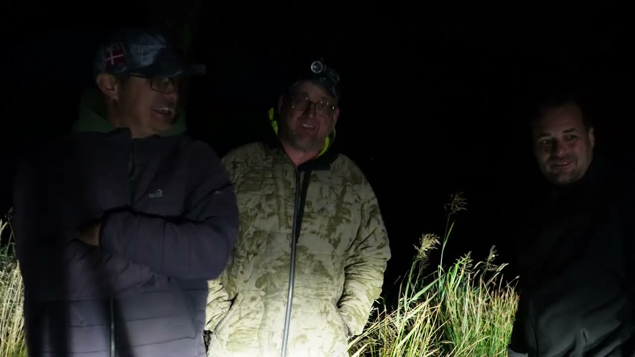 Ål Fiskeri i dansk sø