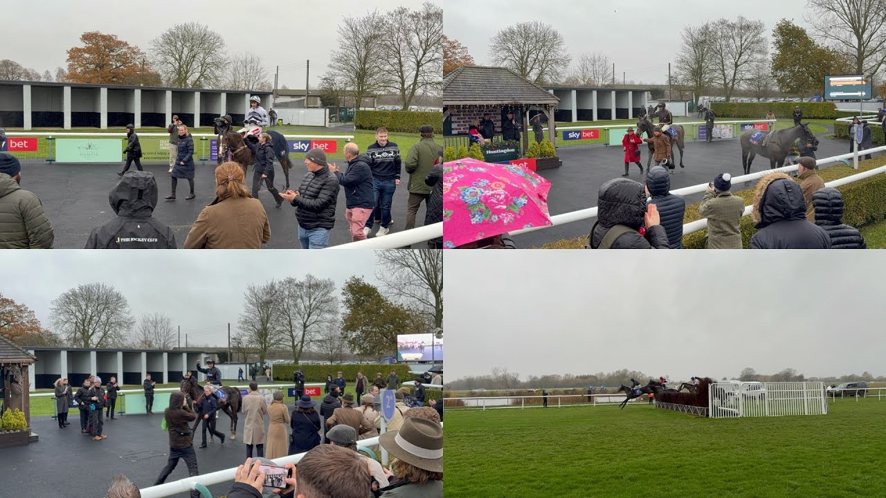 Making back our losses from Sandown | Day At The Races