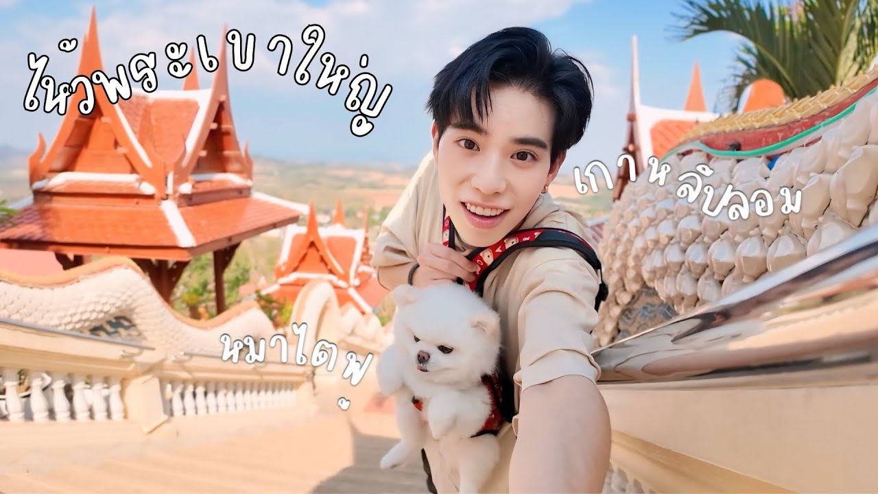 พาหมาไหว้พระ ขี่จักรยานลอยฟ้า บนยอดเขาใหญ่ | เกาหลีปลอม & หมาไตฟู