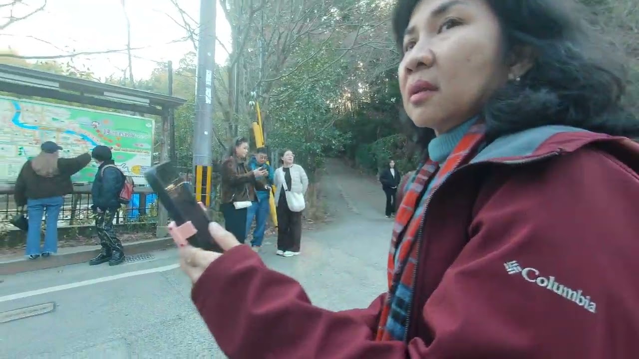 Arashiyama Park Viewpoint