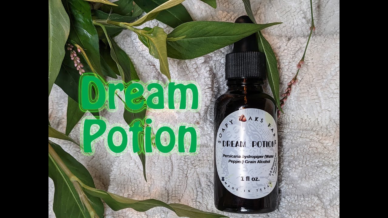 Water Pepper Persicaria hydropiper Dream Potion