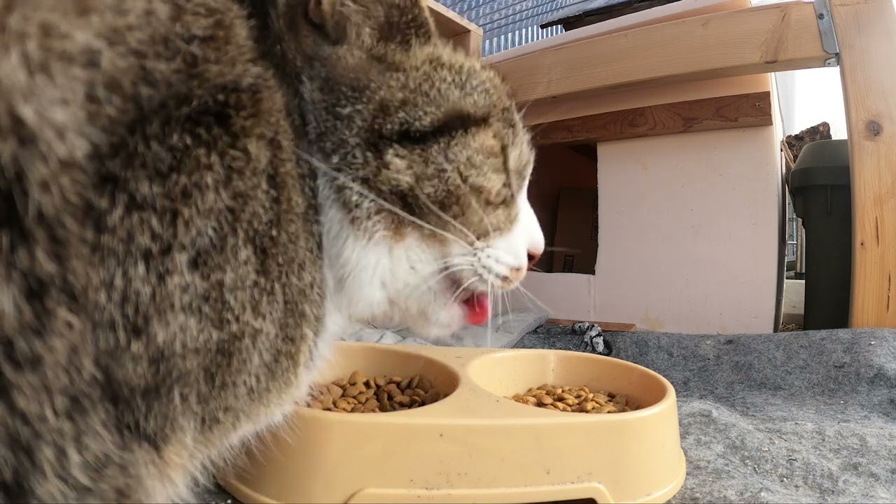 再開のご報告