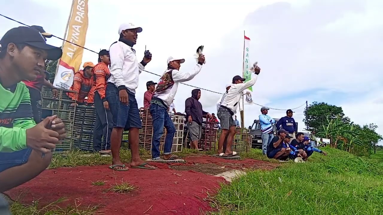 Seri A ring 26 Lomba Putaran Pati Kudus Jepara Demak Purwodadi 