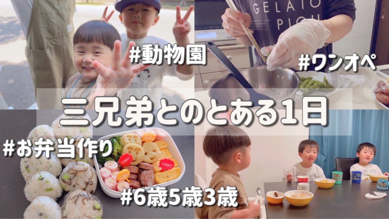 休日のとある1日☀️ ワンオペ/動物園/お弁当/三兄弟/6.5.3歳/三児のママ